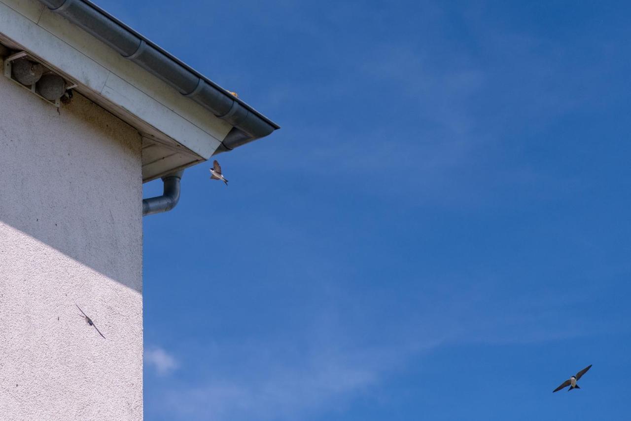 Ferienwohnung Schwalbennest Weinsheim  Exterior foto